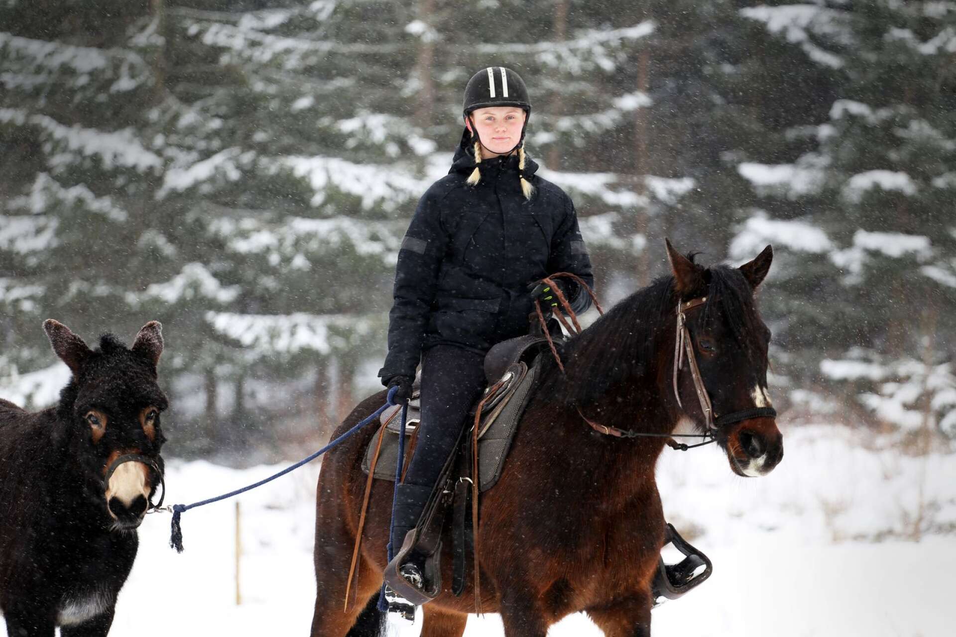 Isabelle Smedberg har varit turridningsguide på Dalslands Aktiviteter. Här rider hon hästen Långben, och leder Julia som ännu är för ung att ridas in. 