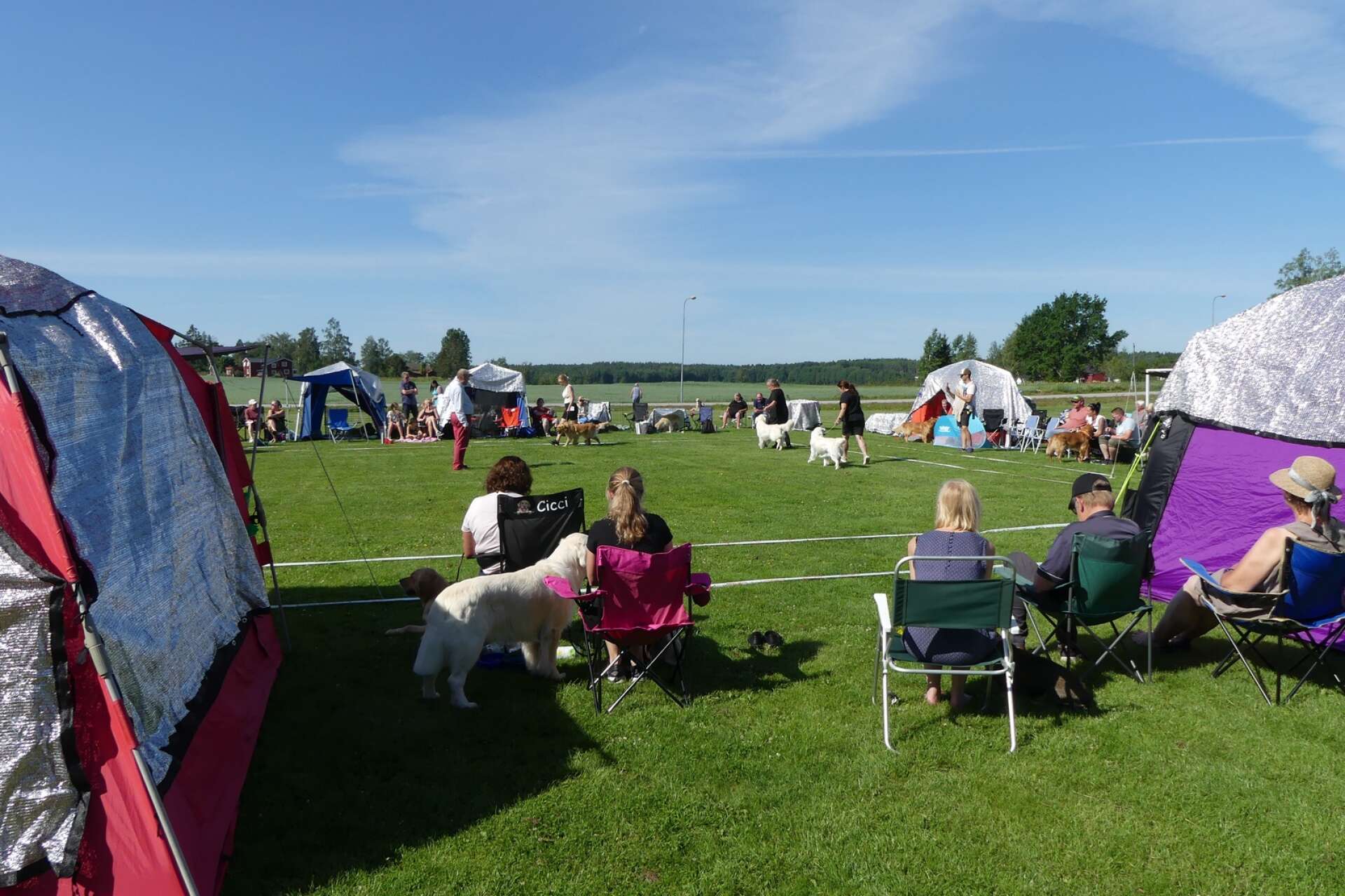 Golden Retriverklubben firade 50 år och arrangerade Open Show, en hundutställning, i Värmlandsbro