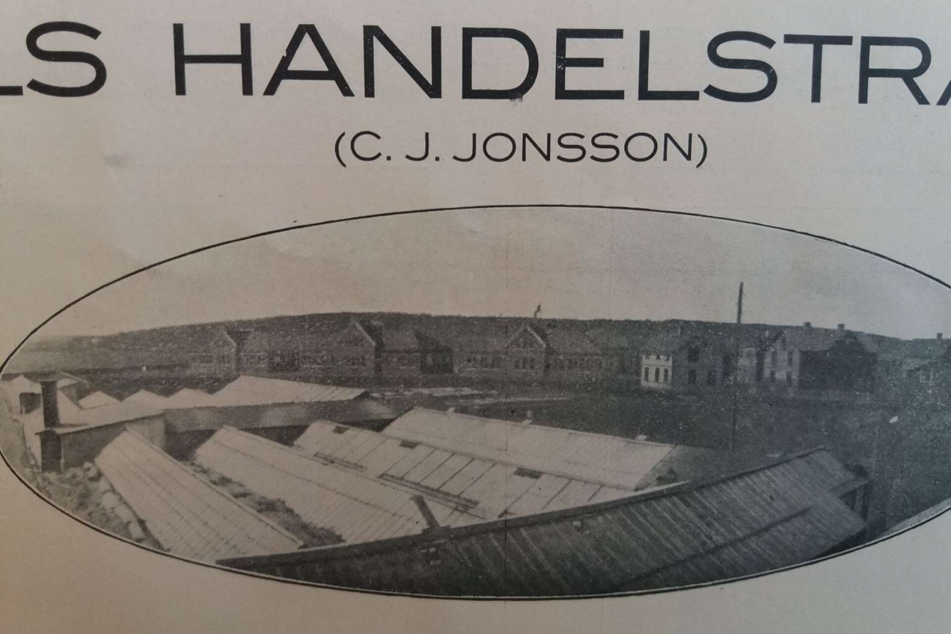 Bild från Irisdals Handelsträdgård ur Jubileumsalbum 1915, Kristinehamns Stadsfullmäktige 50 år