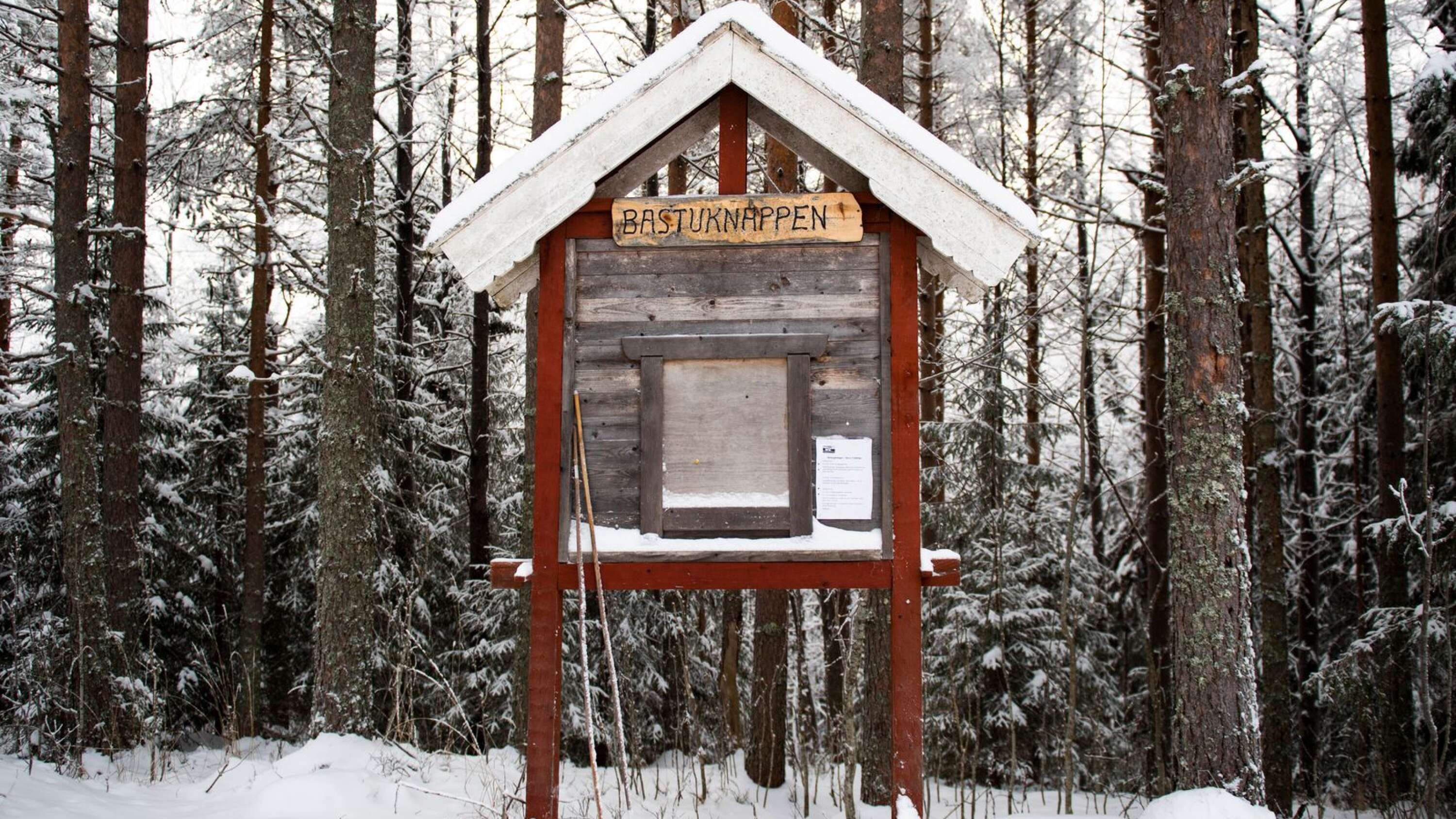 Bastuknappen fick sin första invånare i början på 1800-talet. Det var en finländare som flyttade dit för jordbruket.