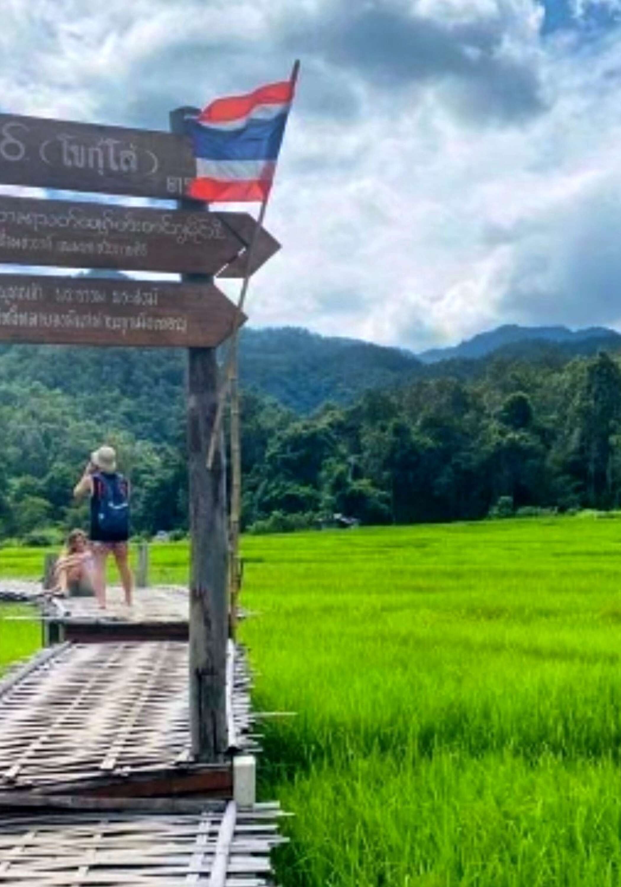 Bambubron över risfälten i Pai, Thailand.