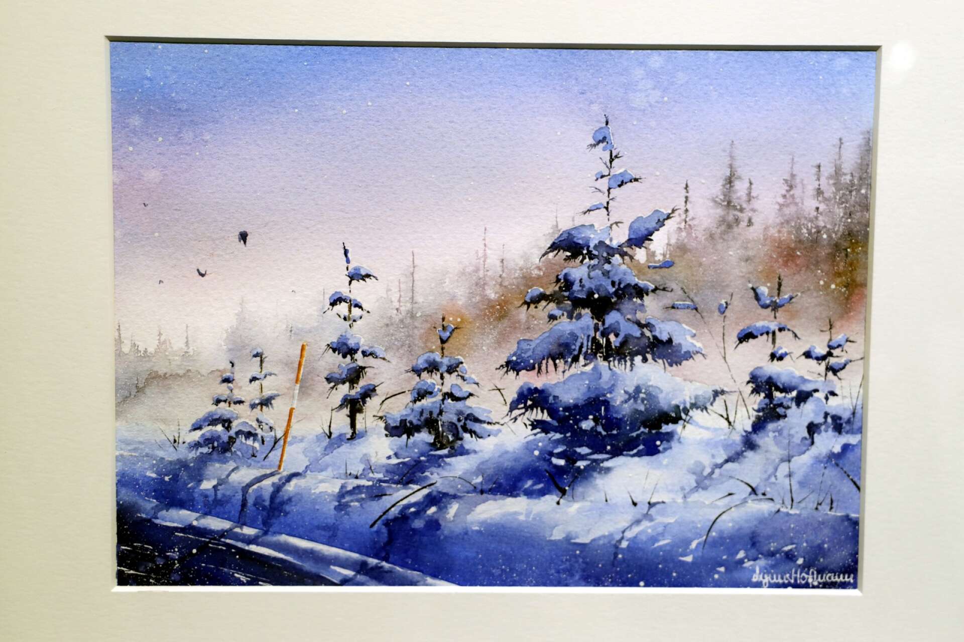 ”Jag älskar att måla vinter”, säger Lynn Hoffman som kan bekräfta att snö inte bara är vit. 