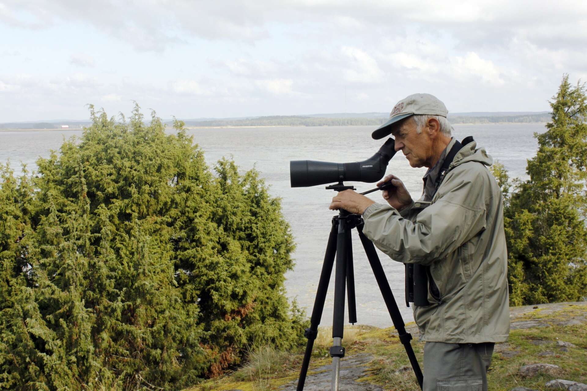 Ulf T. Carlsson är ornitolog och har inventerat Ölmevikens fågelbestånd i 50 år.
