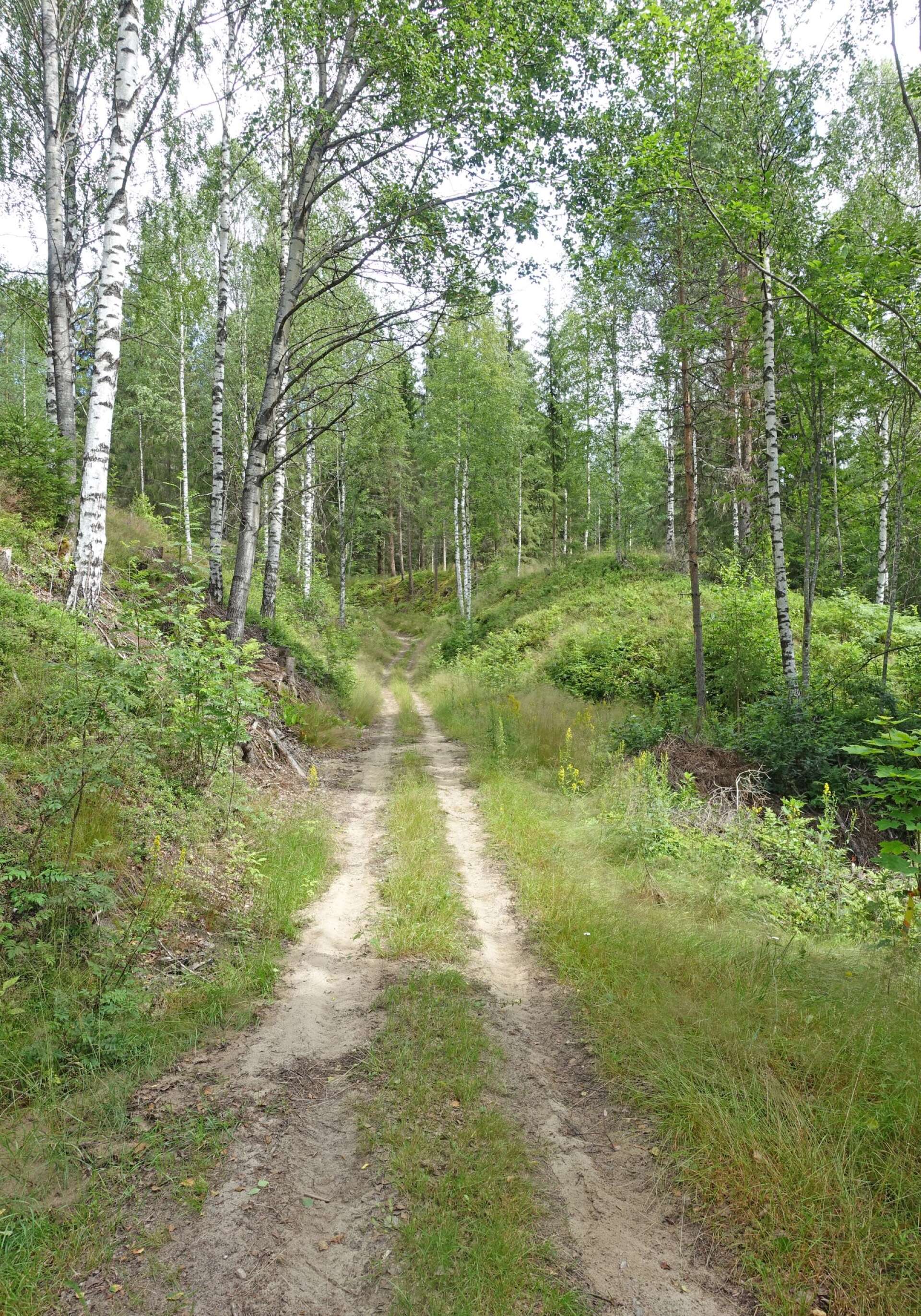 Delar av den gamla landsvägen finns ännu kvar, som Krokbacken i Ransby.