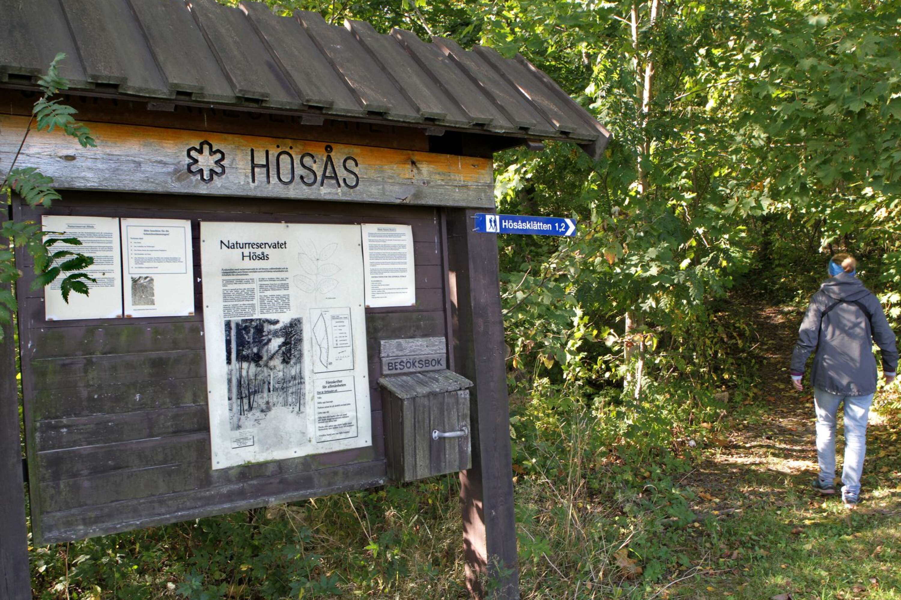 Hösås är länets minsta reservat och ett av de första. Området skyddades redan 1968 för bland annat sina mäktiga askar.