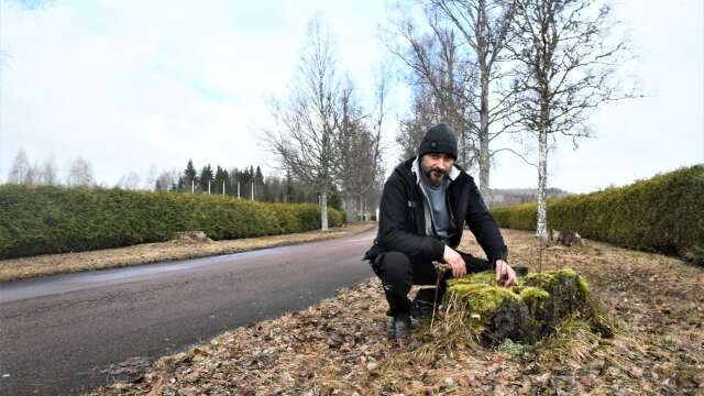 Flera träd i björkalléerna vid Rottneros park har blåst ner och parkens trädgårdsmästare Magnus Holmvik konstaterar att de behöver förnyas - vilket parkens ägare håller med om.