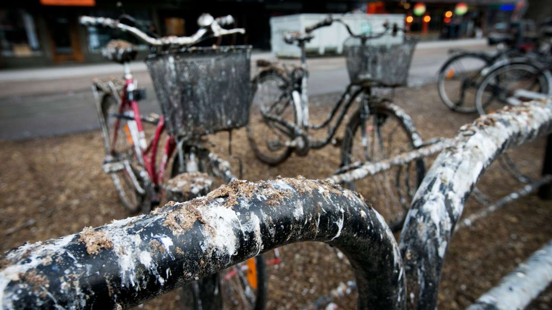 Kungsgatan är nedsölad av fågelträck. Cyklister som parkerat där får finna sig i att ha smutsiga cyklar.