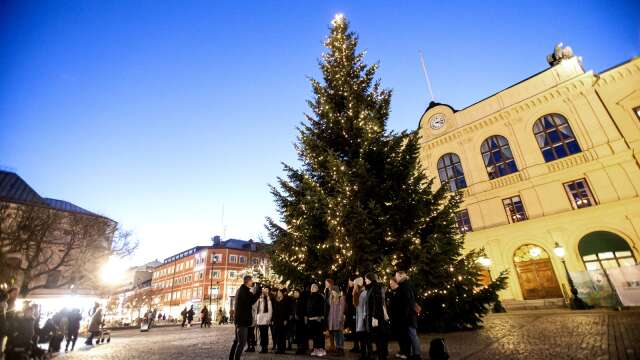 Karlstads kommun startar sökandet efter årets julgranar.