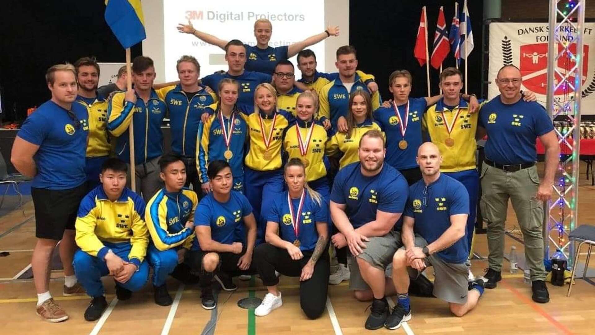 Totalt tog Sverige 20 medaljer i nordiska mästerskapen. 