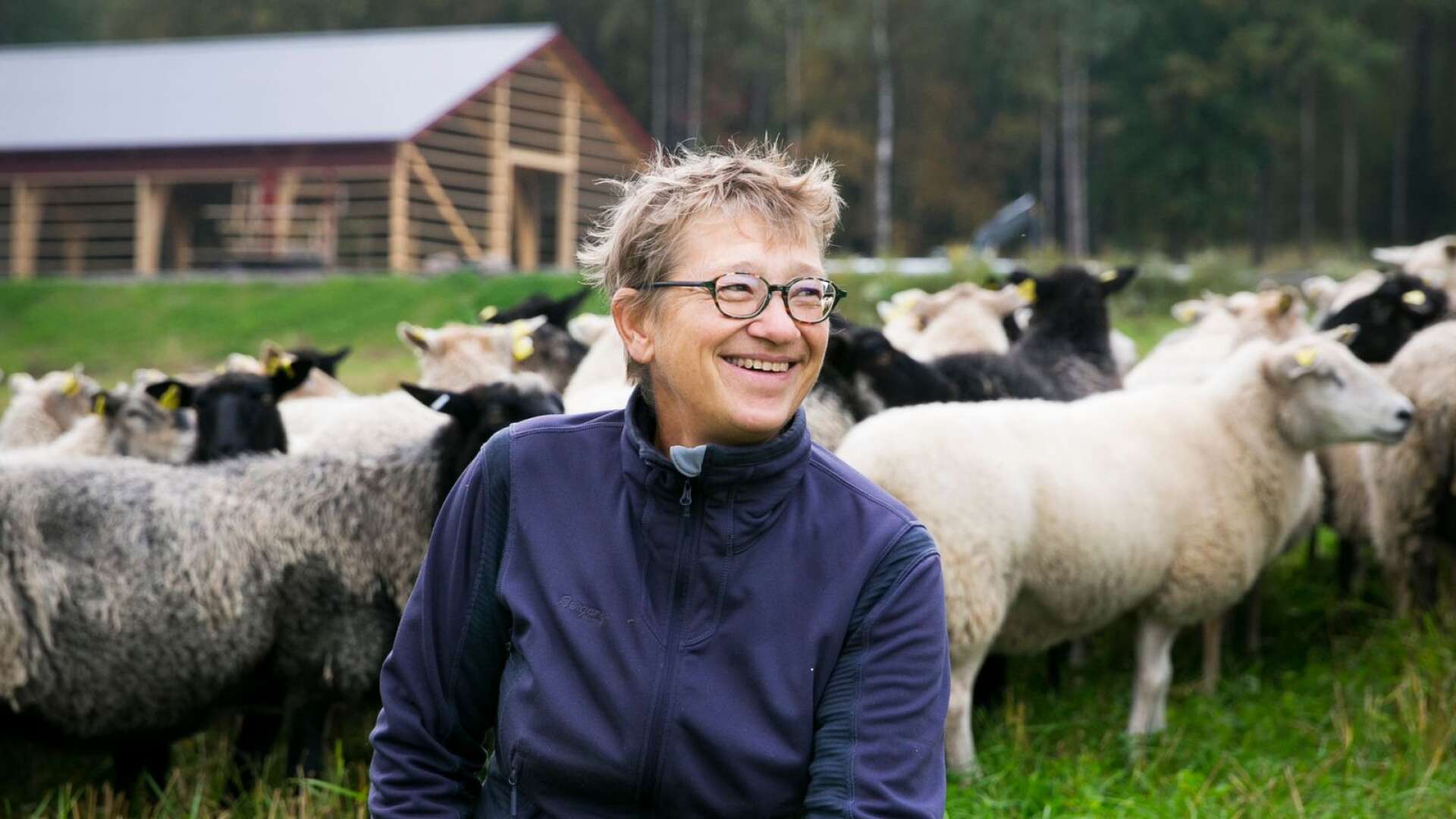 &quot;Ett får är som en liten ko. Om man inte kan ha mjölkkor är det näst bäst att ha får och lamm&quot;, säger Elsa Lund Magnussen som driver Lindås lamm.