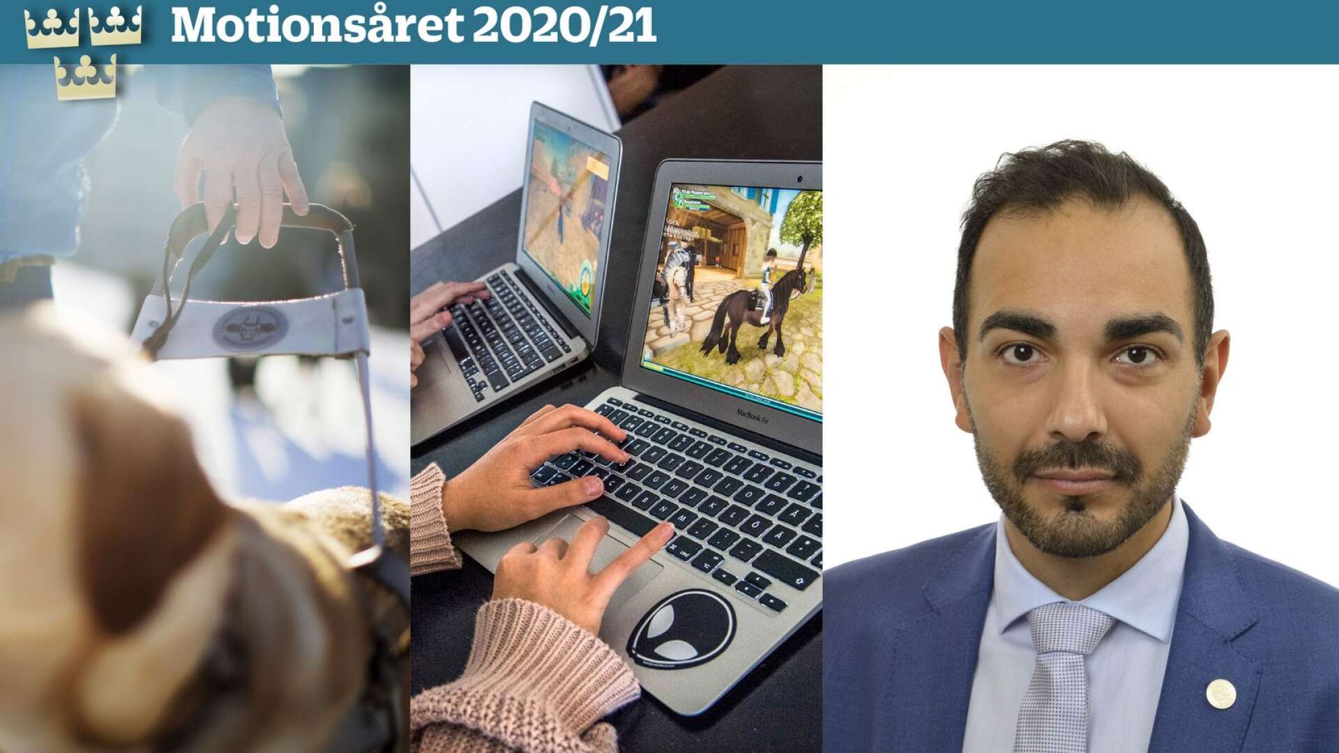 Arman Teimouri (L) har bland annat skrivit om motioner om att stärka den svenska dataspelsbranschen och att stärka synskadades frihet. 