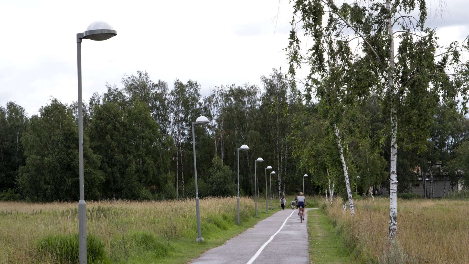Därför vill Miljöpartiet att både större och mindre orter i Värmland ska knytas ihop med säkra cykelvägar, skriver Torbjörn Nilsson.