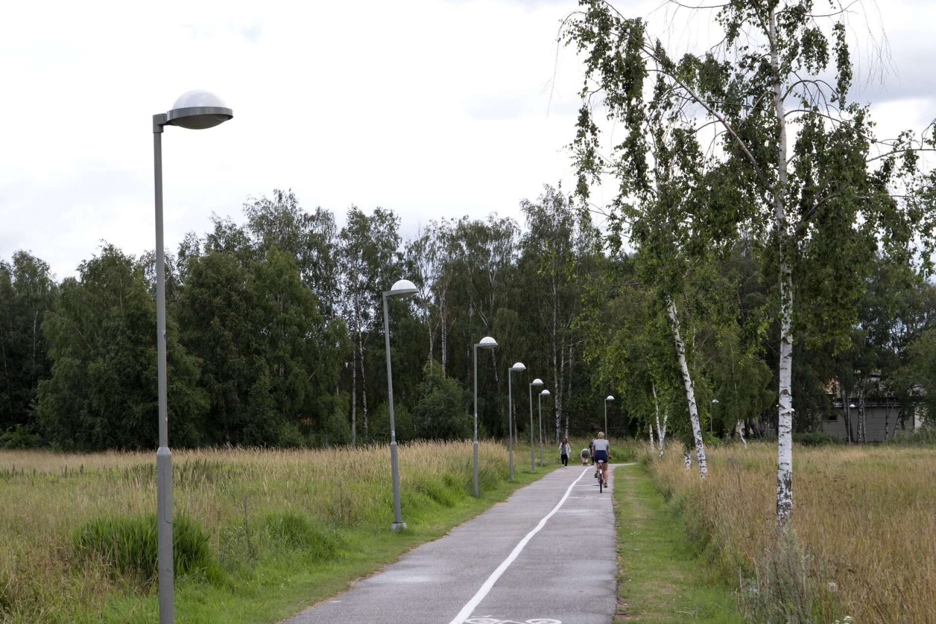 Därför vill Miljöpartiet att både större och mindre orter i Värmland ska knytas ihop med säkra cykelvägar, skriver Torbjörn Nilsson.