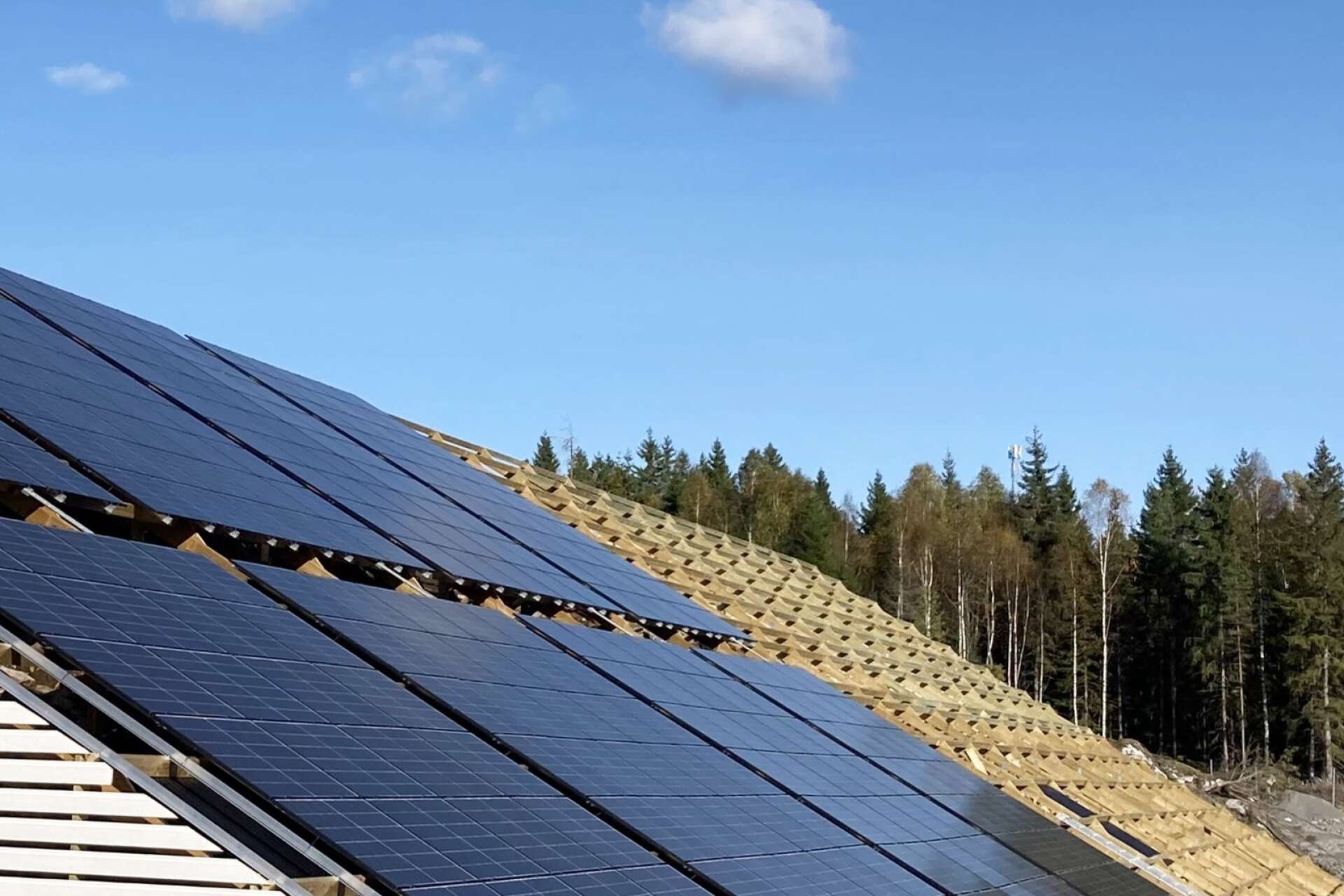 Den nya solparken vid sågverket Hilmer Andersson som ska göra företaget mer självförsörjande på el.