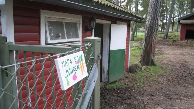 Huldas Änglar ger pengar till Åmåls djurpark.