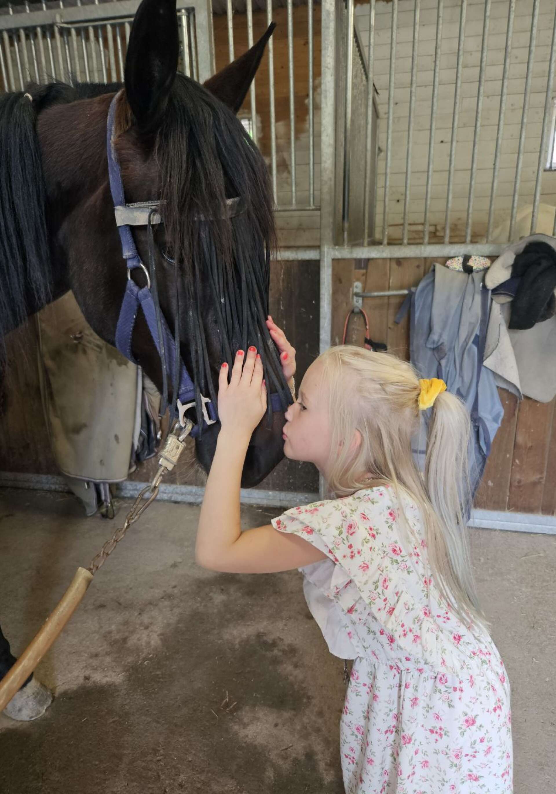 Jasmine hälsar på hästen Rocky i Svanskog.  Bilden är tagen av Michaela Olofsson.