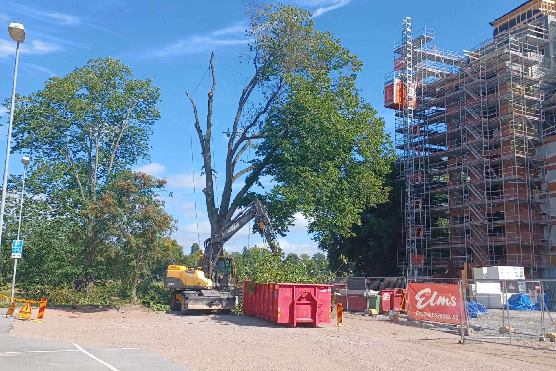Insändarskribenten vill inte att träden fälls längs älvpromenaden i Karlstad.