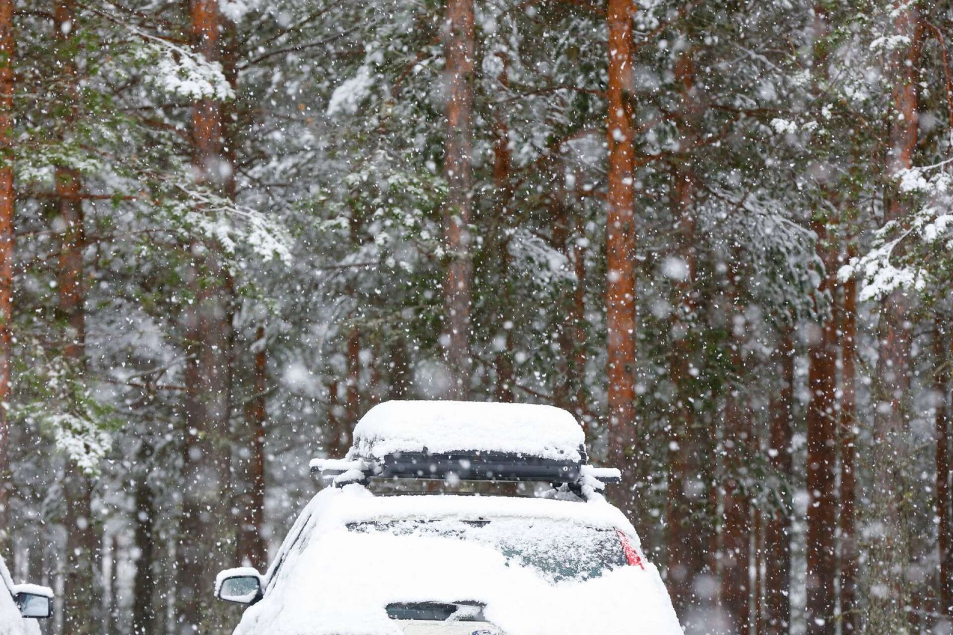 Sopa bilen ren från snö innan du kör.