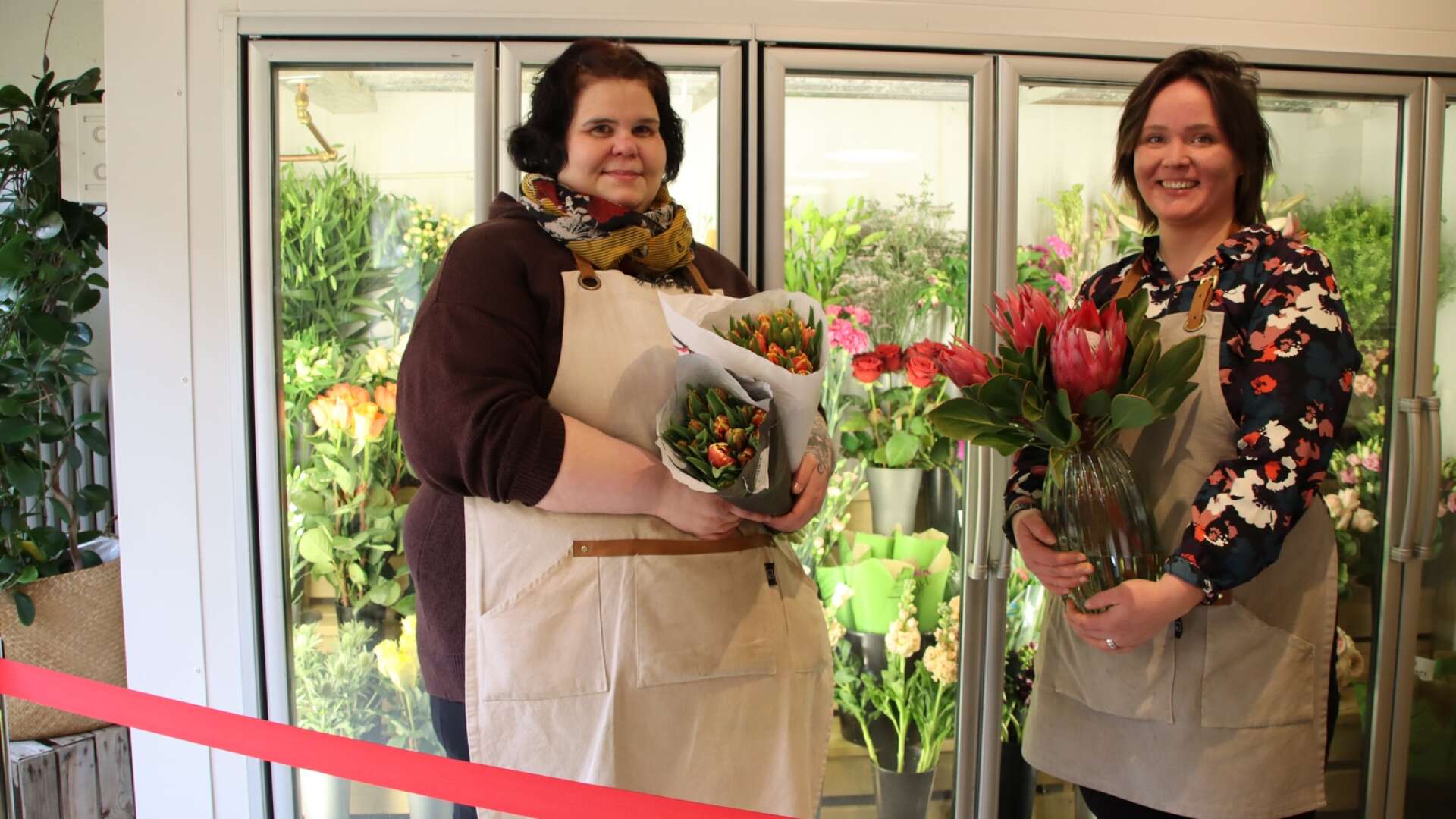 Elin Vig (till vänster), som driver Filipstads blomsterhandel, står tillsammans med floristen Helén Edlund, vid butikens snittblommor. Under måndagen inledde butiken ett nytt samarbete med Samhall i Filipstad som i fortsättningen ska vara butikens blombud.