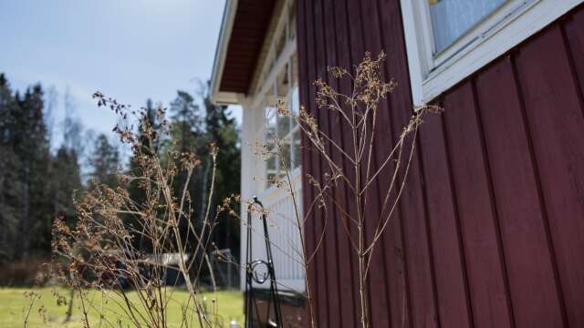 En man och en kvinna bröt sig in i en sommarstuga i Karlskoga kommun. Genrebild. Stugan på bilden har ingen koppling till artikeln.