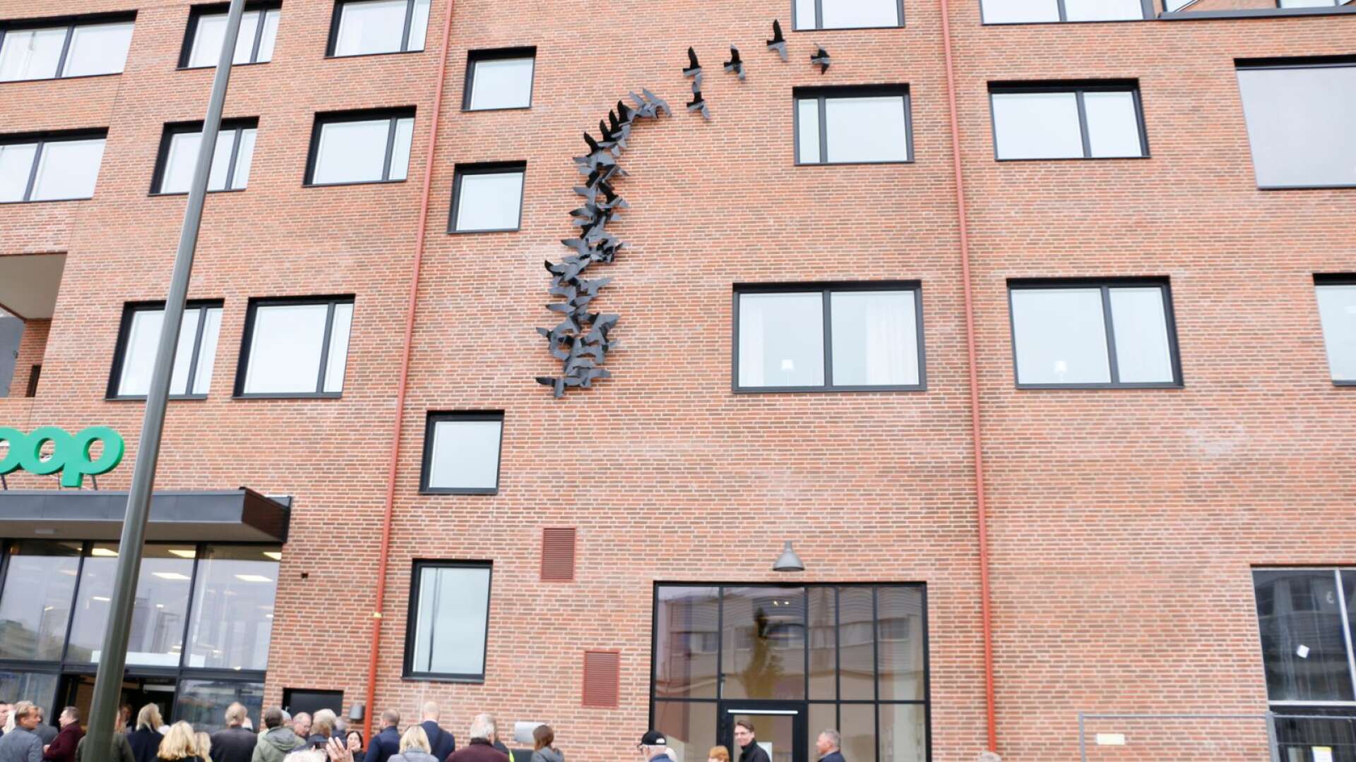 De välbekanta fåglarna i Lars Sjögrens skulptur flyger nu på fasaden till den nya Coop-butiken på Tullholmen. Tidigare sågs de på fasaden till det nu nerbrunna Domushuset. 