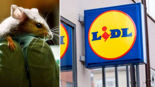 Kund upptäckte bitmärken på godisförpackning • Tros spridas från centrallagret i Örebro: ”Satt in åtgärder på många andra butiker också”