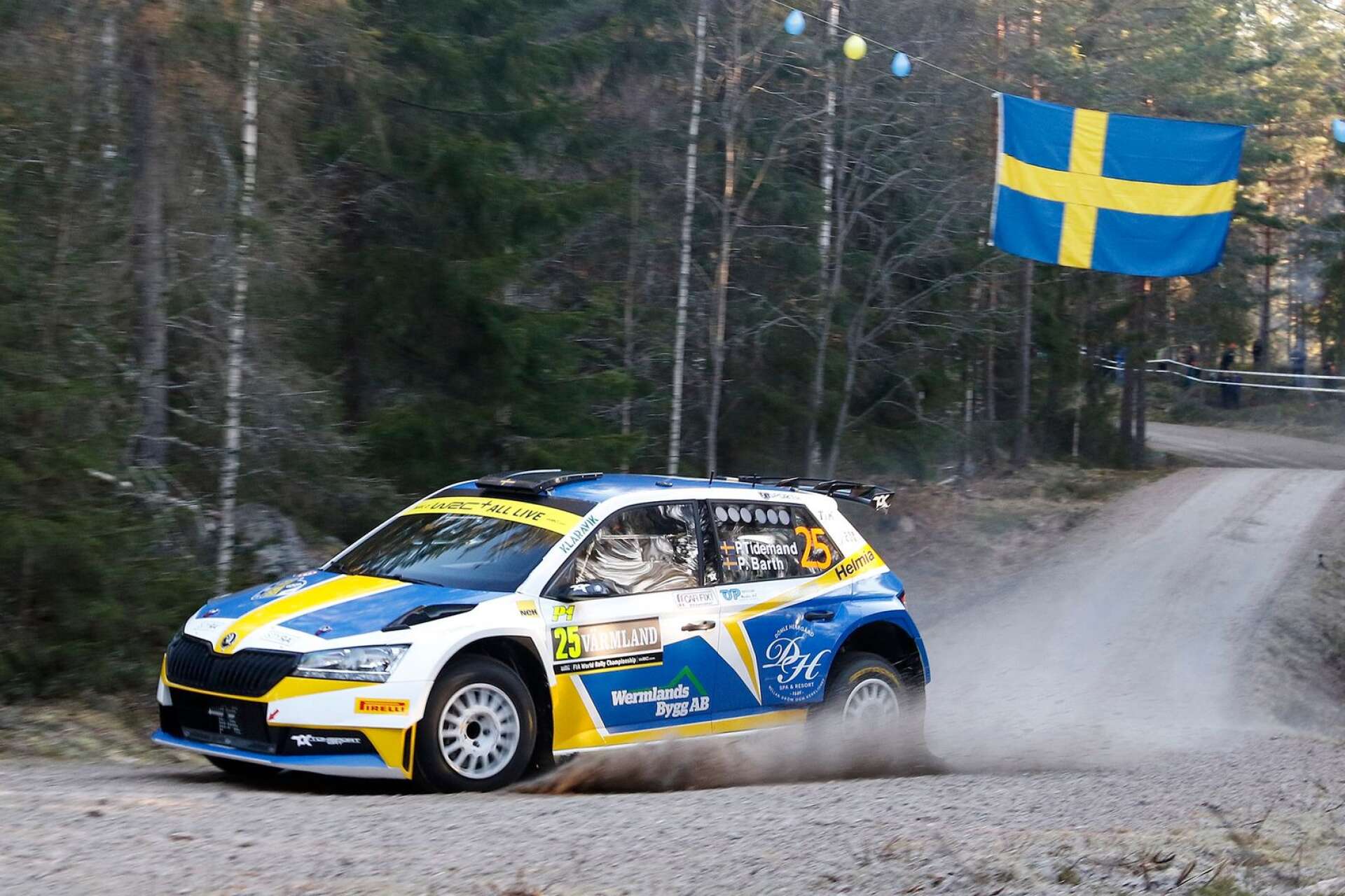 I European Rally Championship används rally 2-bilar, i huvudklassen. På bilden Pontus Tidemand, ett stort namn inom rally, som kör ERC-serien.