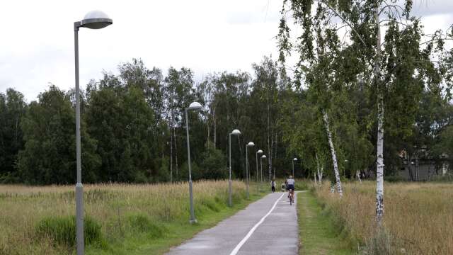 Det blir ingen cykelbana mellan Ölme och Kristinehamn. Tekniska nämnden avslog förslaget.