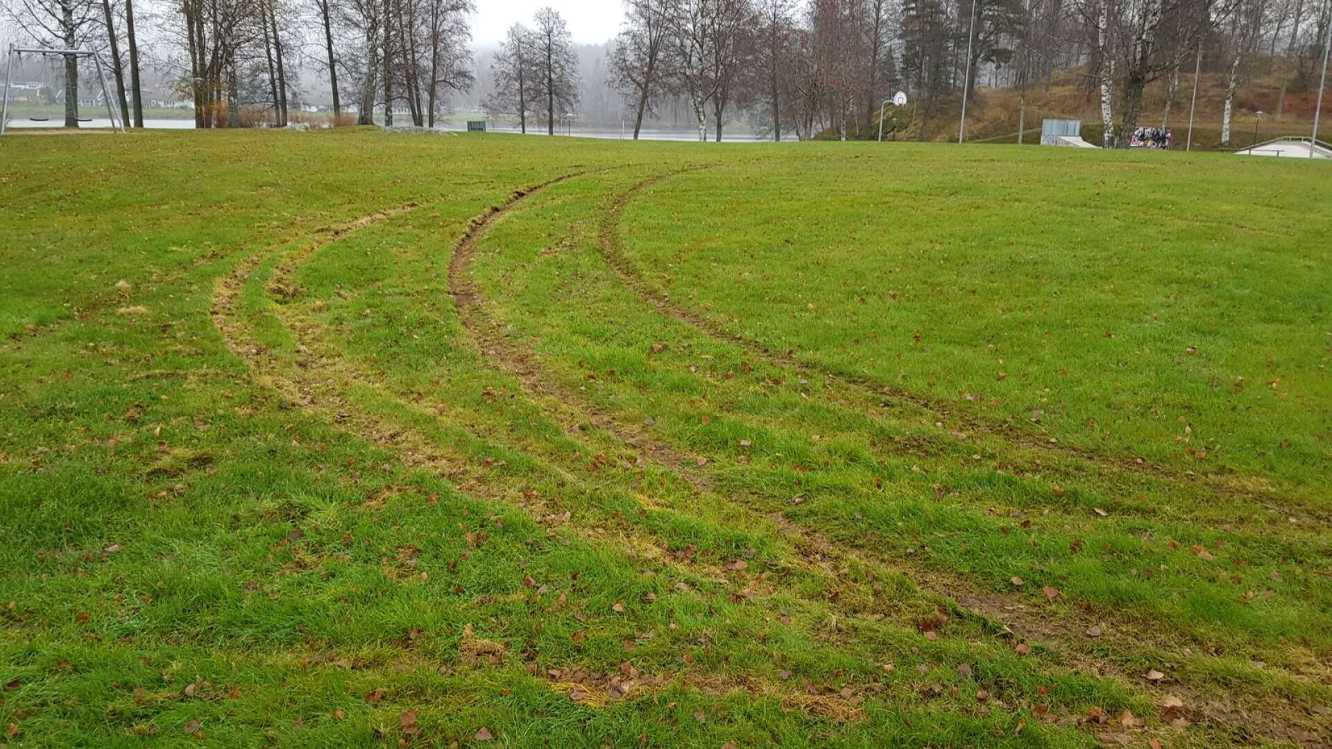 Bilspår på gräsmattan vid Sågudden dagen efter storbråket.