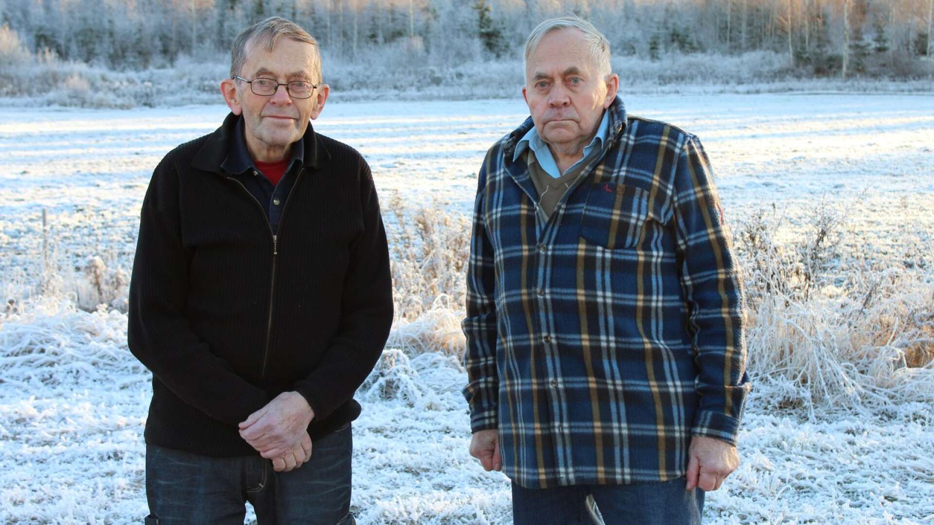 Tore och Lennart Lennartson omgivna av skogen i Västanå. Skogsbruk har varit en av alla de verksamheter som de och generationerna före dem ägnat sig åt.