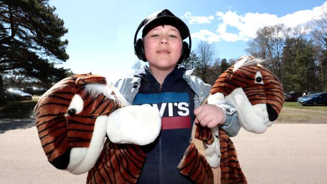 Liam Skane hade köpt två tigrar, varav den ena skulle till kusinen.