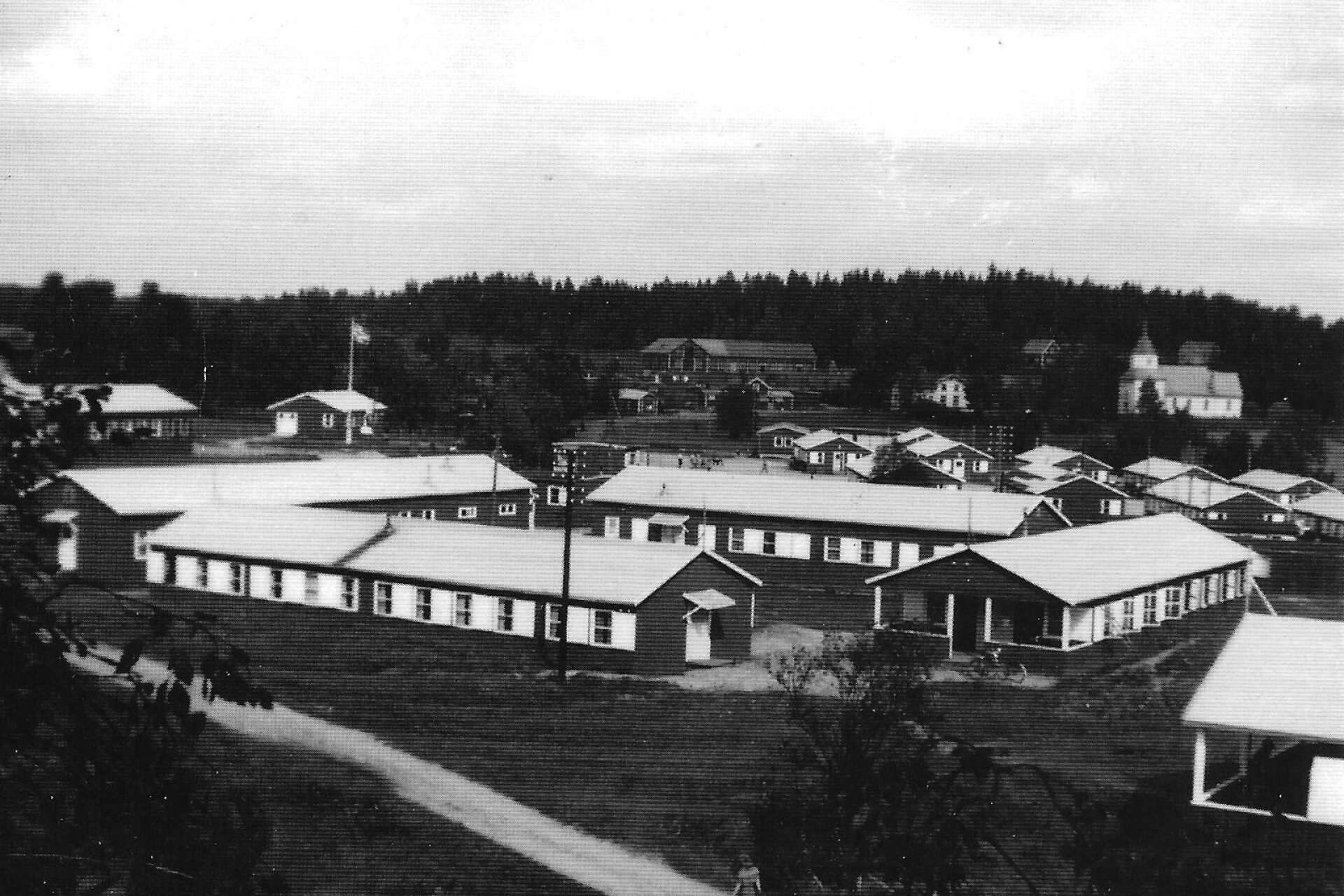 I flyktinglägret Öreryd i Småland hamnade Svein när han flytt till Sverige i april 1941