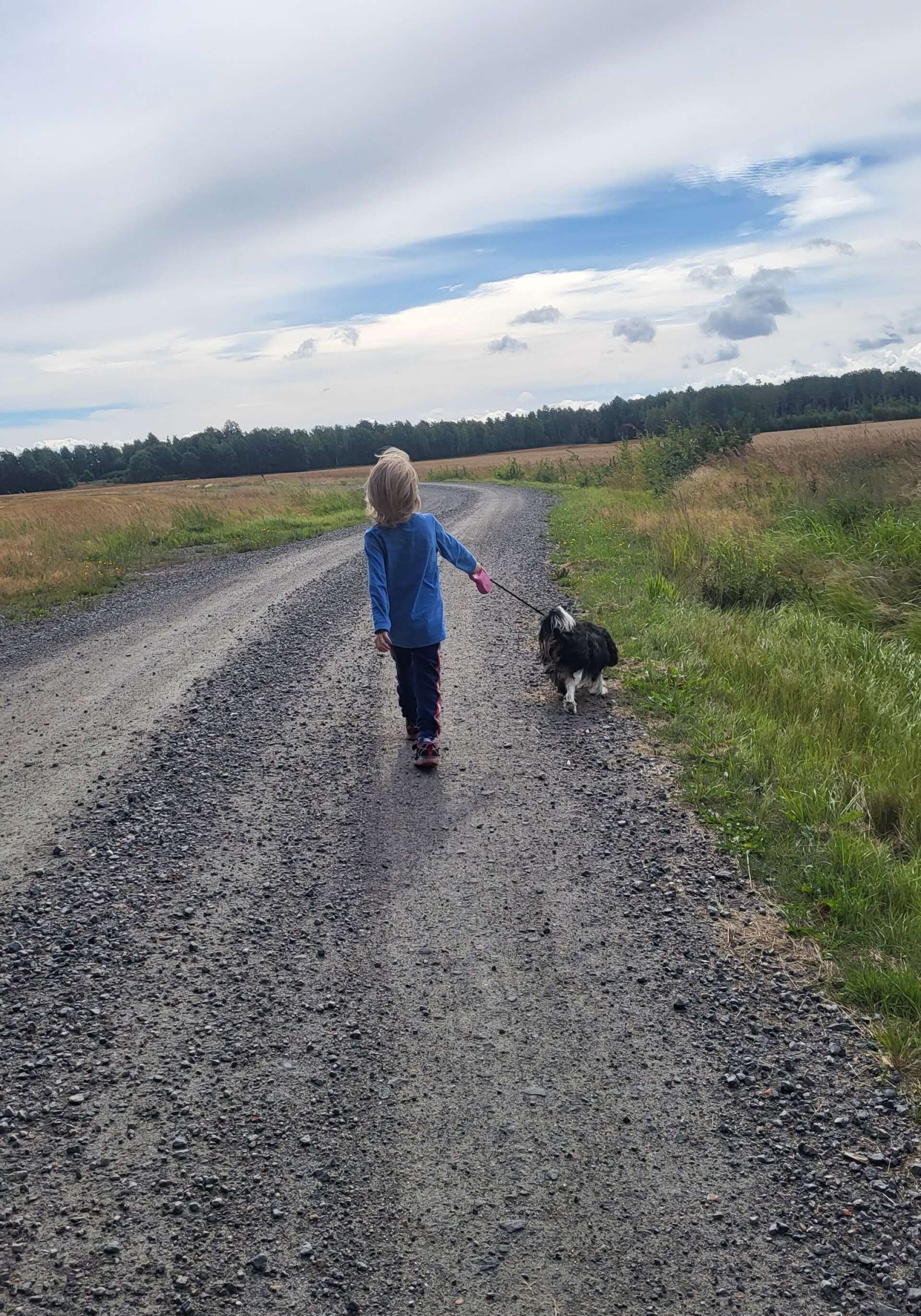 Ozzy är ute och går med farmors hund i Ölserud. Bilden är tagen av Johanna Johansson.