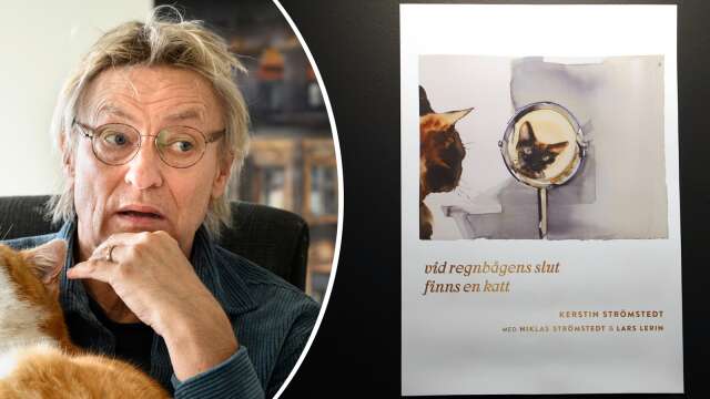 Karlstadsaktuella Niklas Strömstedt gjorde bok om katten Kerstin tillsammans med Lars Lerin 
