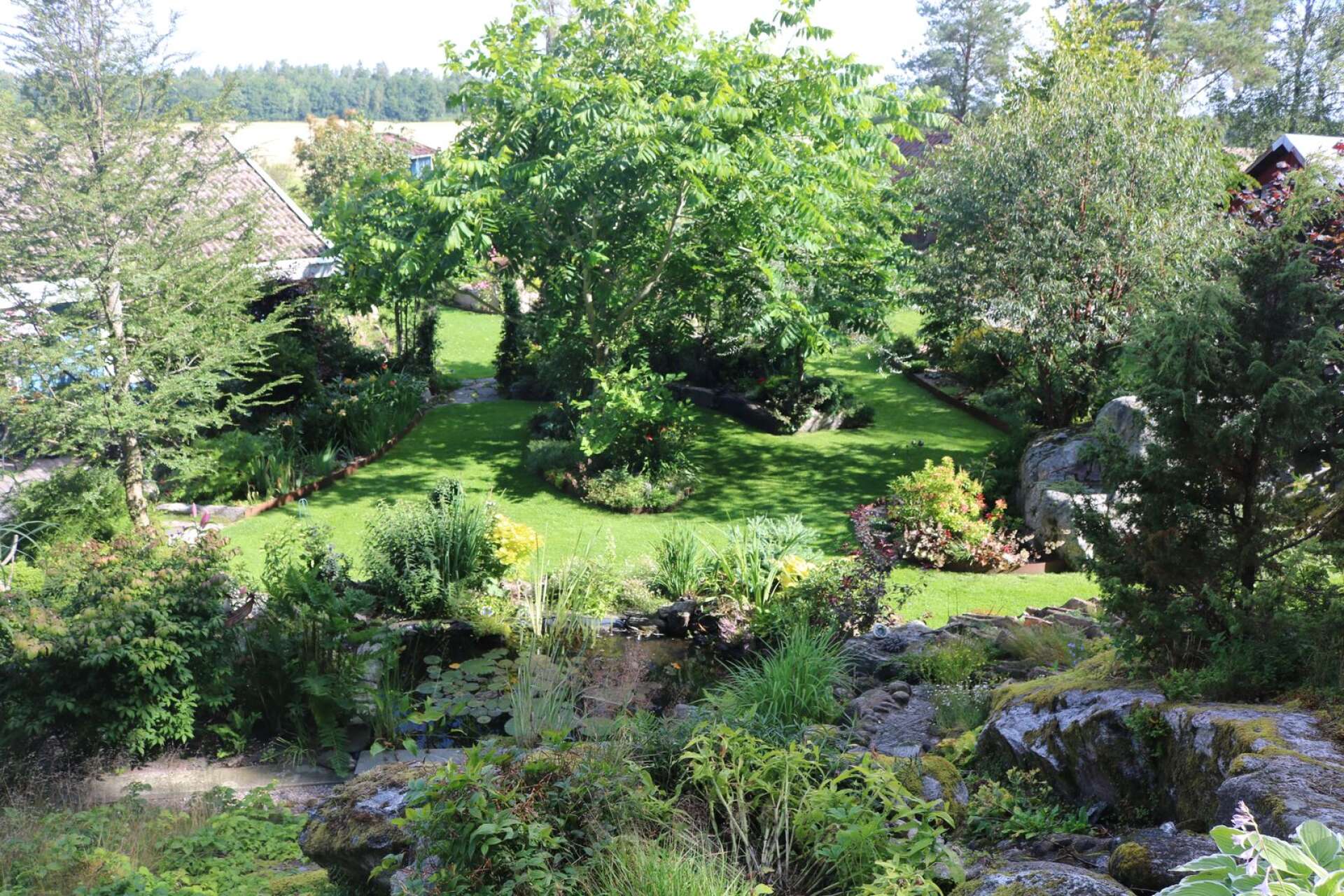 En del av Eva Werners trädgård.