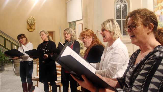 Magpies, som också uppträder som Töreboda vokalensemble, består av Eva Lindström, Karin Hermansson, Anette Landenmark-Karlsson, Helena Petterson, Ragnhild Johansson och Karin Mårtensson. Arkivbild.