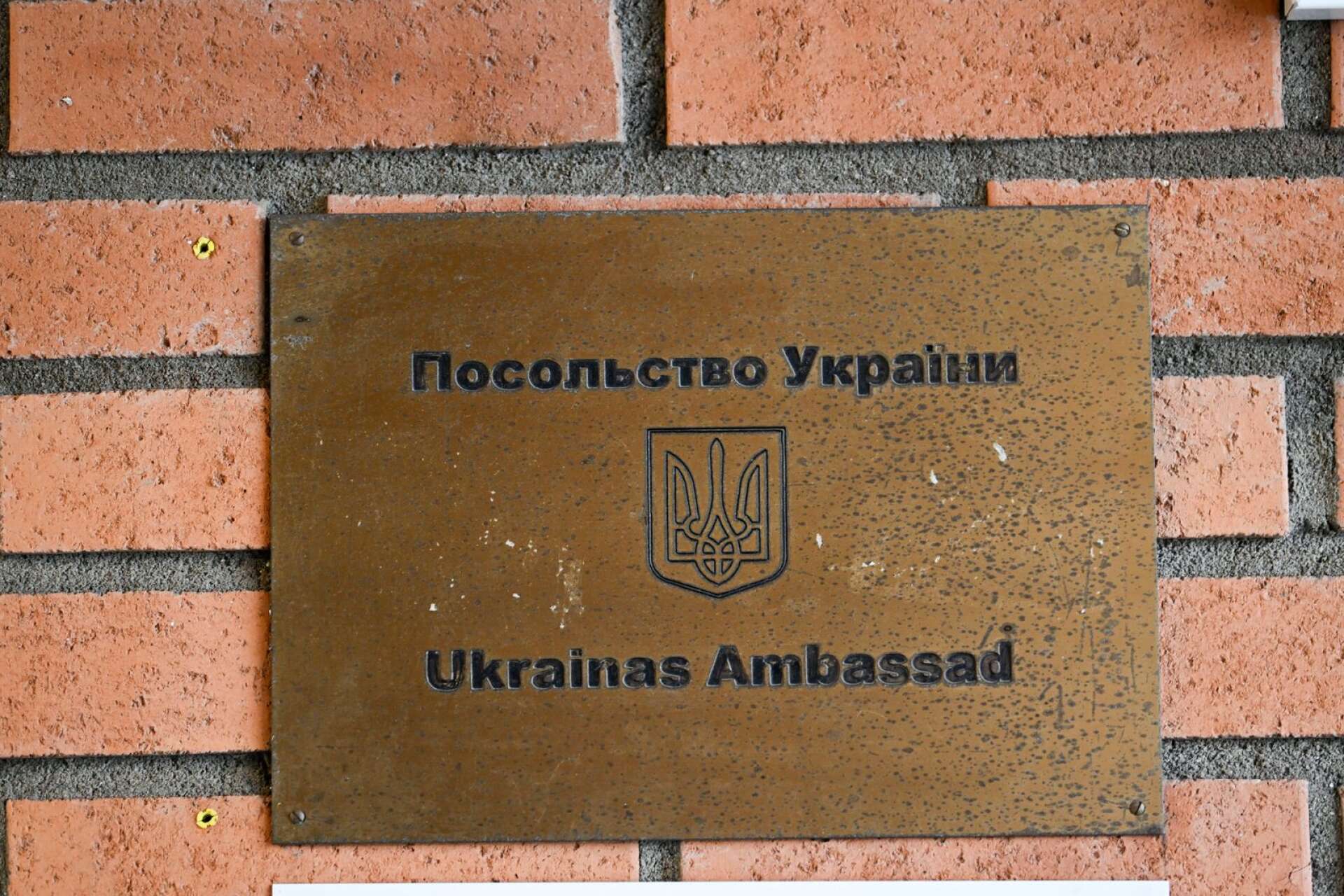 Ukrainas ambassad i Stockholm har gett Skas en utmärkelse för sina insatser. 