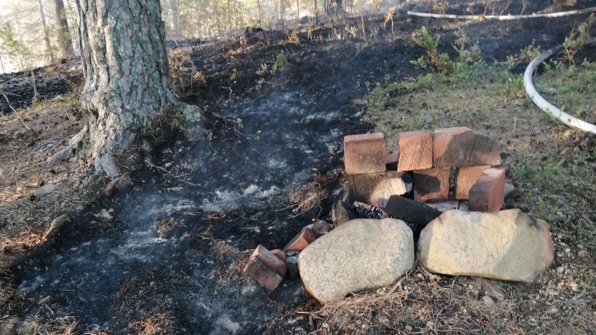 Elden spred sig från grillplatsen, ut i skogen. 