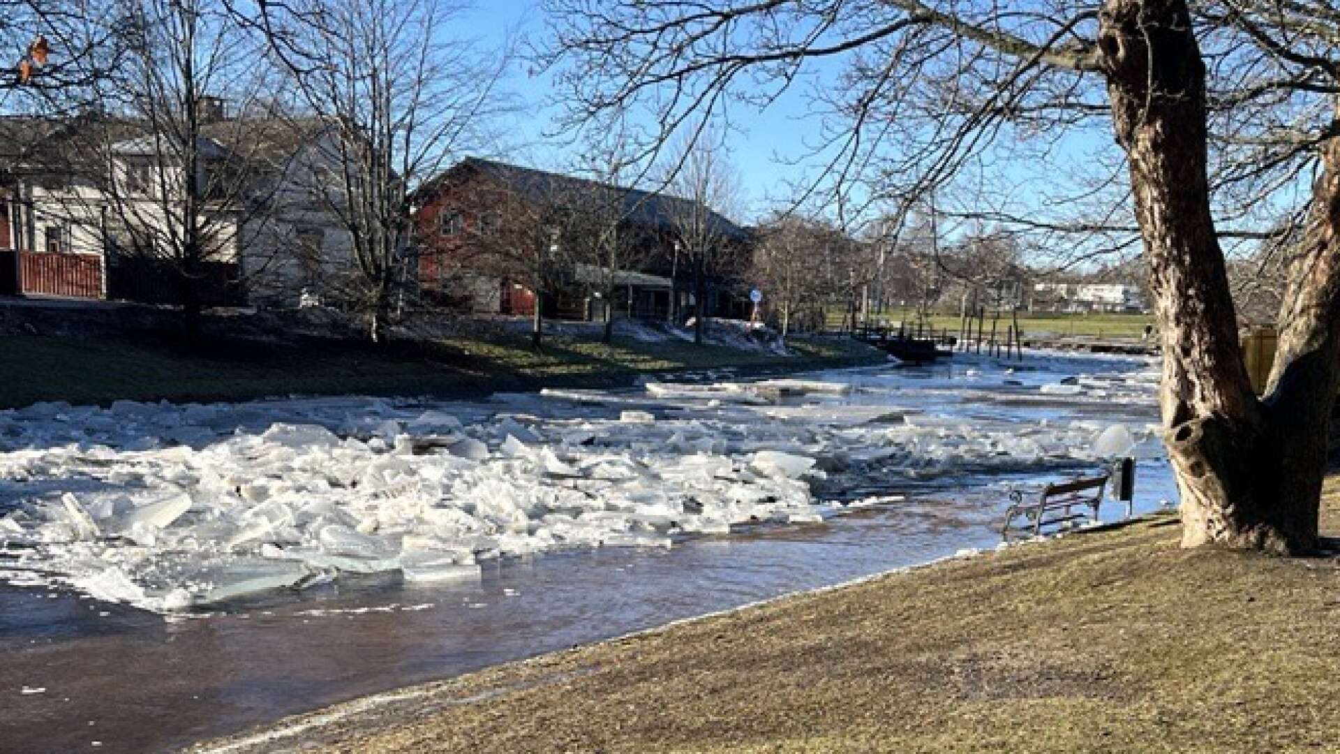 Isproppen i Varnan ställer just nu till med stora problem i Kristinehamns kommun.