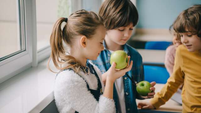 Skolfruktsstödet innebär ett bidrag för att stärka budgeten för livsmedelsinköp på skolorna och ge möjlighet att erbjuda frukt till barnen.