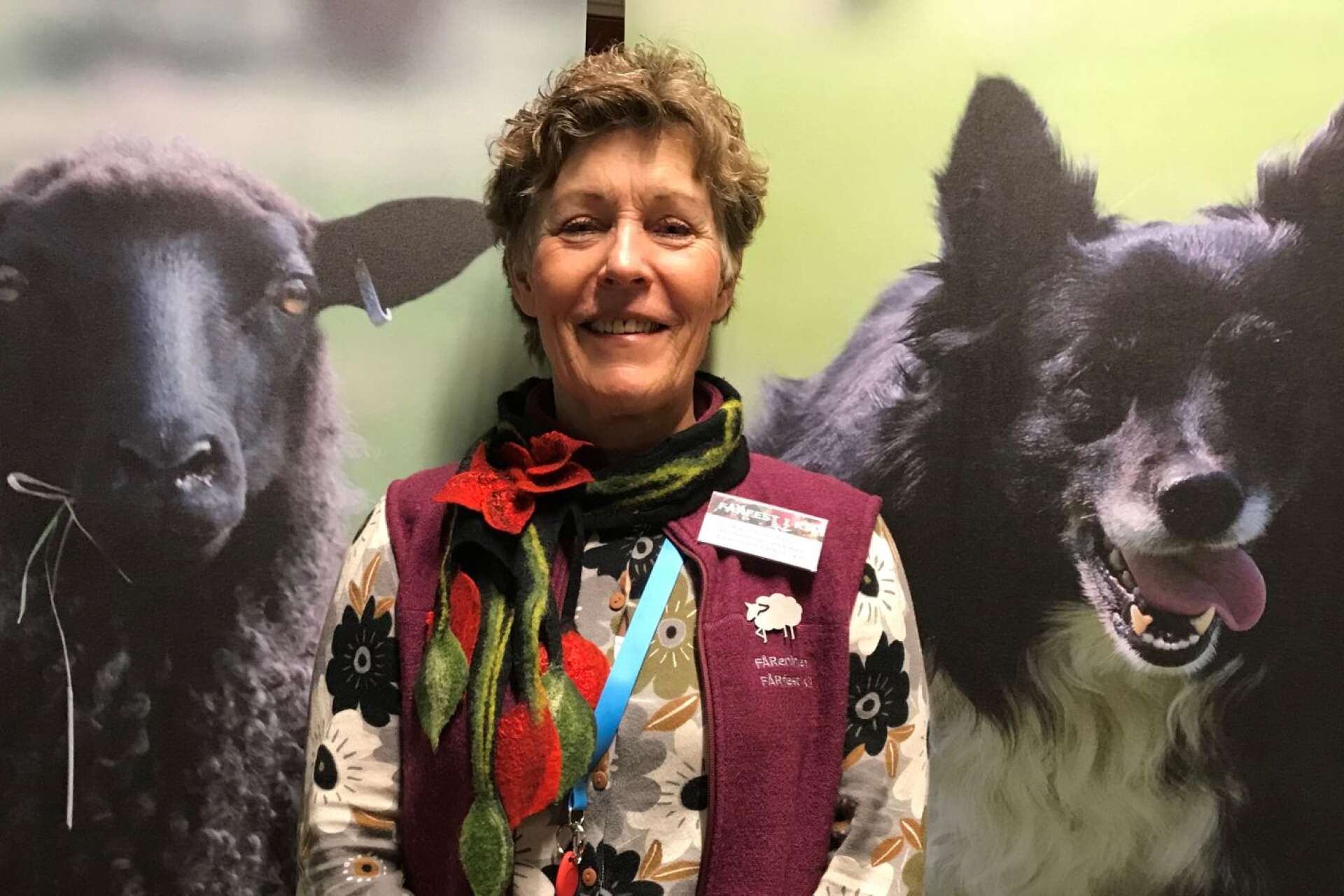 Det blir en fårfest i år igen, trots allt, men den blir digital. ”Vi har så mycket spännande på gång”, säger Karin Granström som är ordförande i Fåreningen Fårfest i Kil.