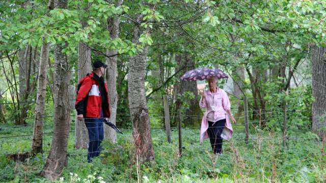 Sonja Hjalmarsson hade en vacker regnutstyrsel, där både jacka och paraply passade ihop färgmässigt