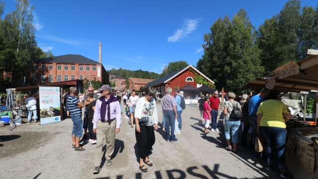 I somras hölls den sjunde upplagan av Glupskfestivalen i Fengersfors.