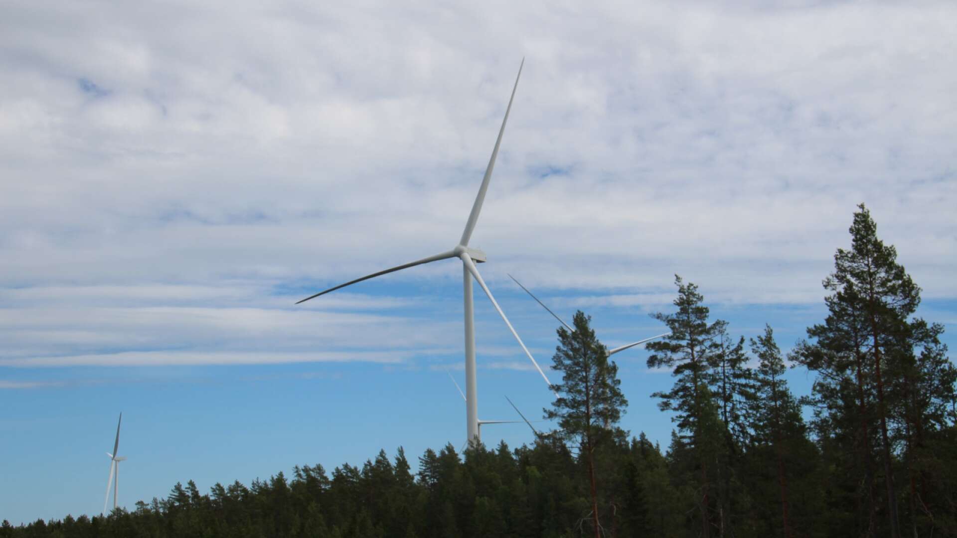 Vindkraftverk står för en allt större del av elkraftsproduktionen i Sverige. 