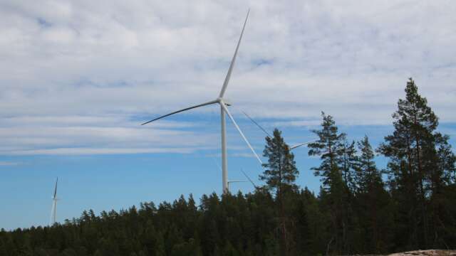 Vindkraftverken breder ut sig, nu utreds ett område i Bengtsfors och Dals-Ed.