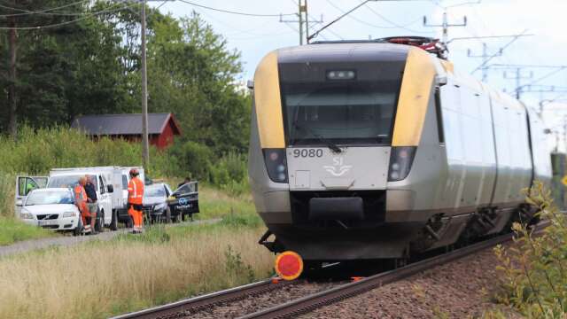 Ett 50-tal passagerare fick evakueras efter lunch på onsdagen då tåget skadats efter en krock. Det körde på och dödade 24 kor som befann sig på spåret. 