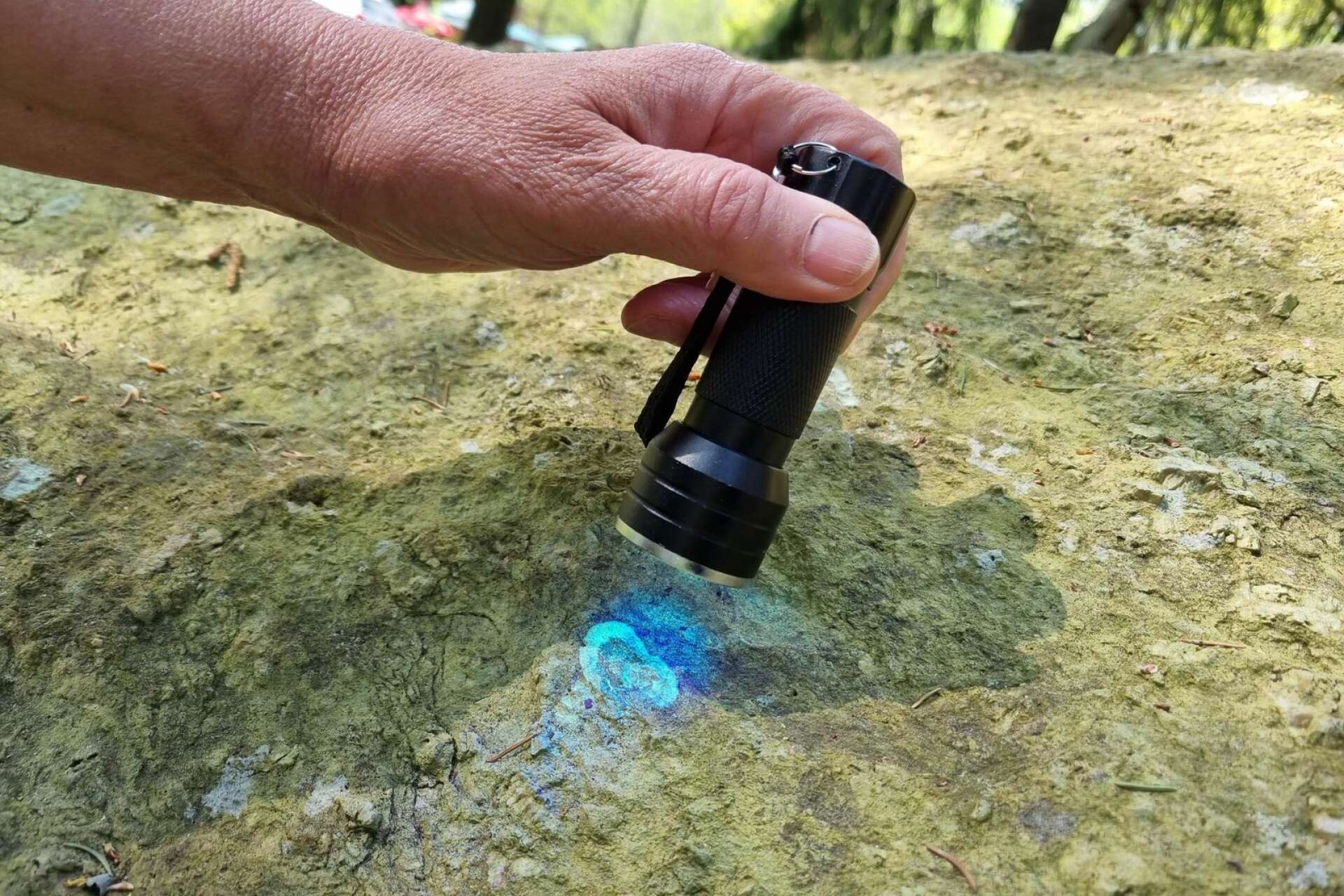 Barnen från Björneborgs skola har fått sätta sina fingeravtryck på en sten i folkparken. Men fingeravtrycken kan bara ses om man lyser på stenen med fluorescerande ljus. 