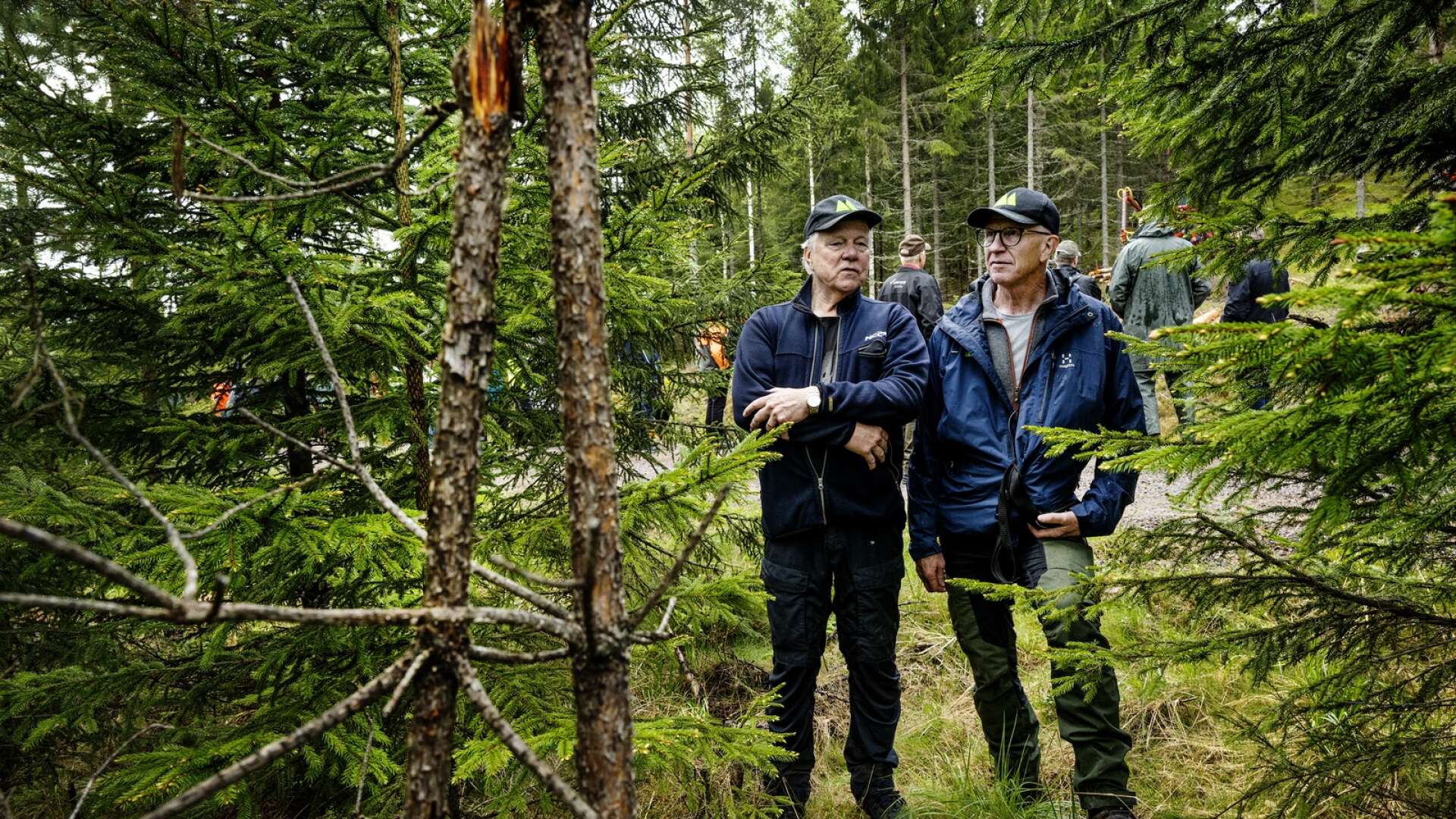 Skogsägaren Bertil Forsberg och skogliga rådgivaren Per Jansson diskuterar självföryngrande skog. I förgrunden syns en tall som tjänat som bete för älg och nu dött.
