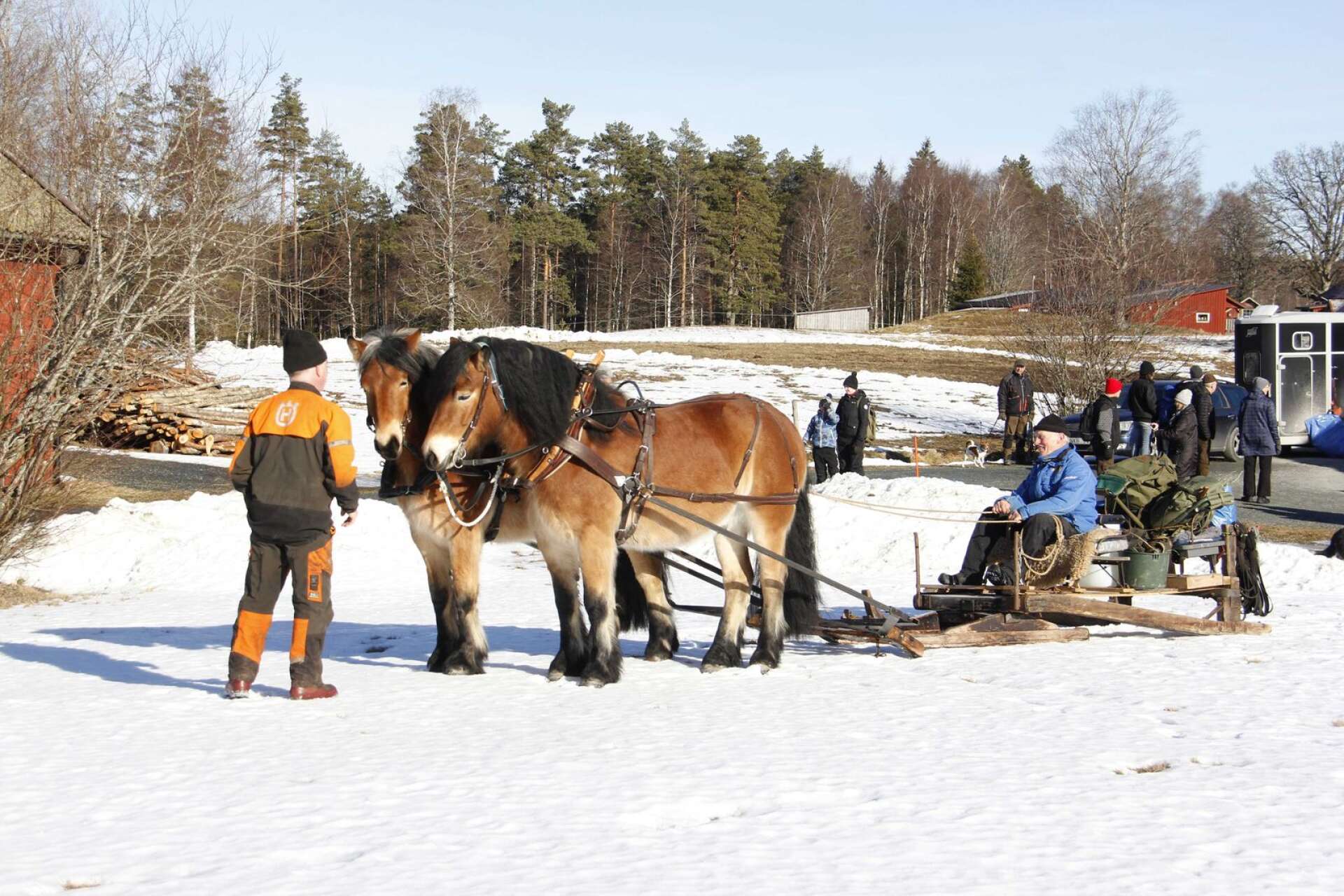 Ekipagen gör sig redo på gården i Ängeboda för en skogstur i det härliga vårvintervädret.