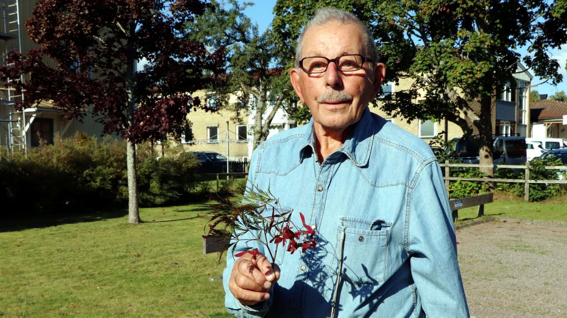 Svante Pettersson visar upp en kvist med bladverk och näsor.             